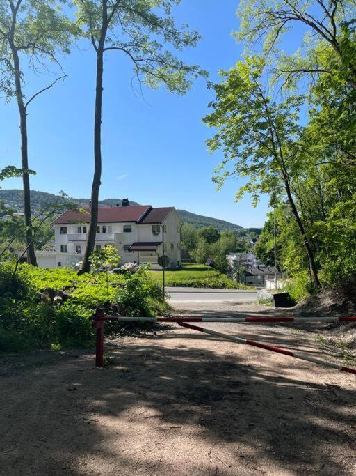 Fin Sentralt Hybel I Drammen公寓 外观 照片