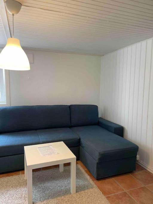 Fin Sentralt Hybel I Drammen公寓 外观 照片
