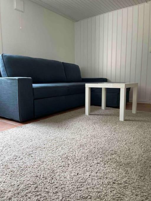 Fin Sentralt Hybel I Drammen公寓 外观 照片